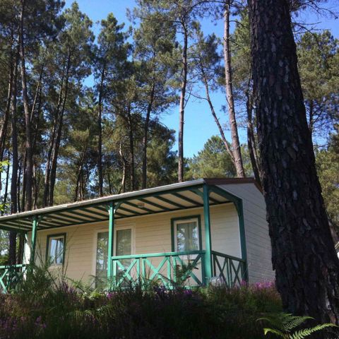 CHALET 6 persone - COMFORT IN CASTAGNO CON ARIA CONDIZIONATA