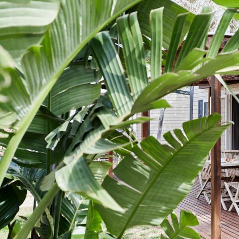 BUNGALOW 4 personnes - Confort Baconé