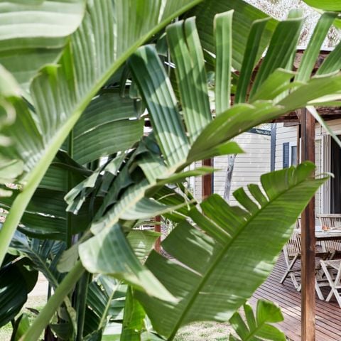 Stacaravan 4 personen - Baconé comfort