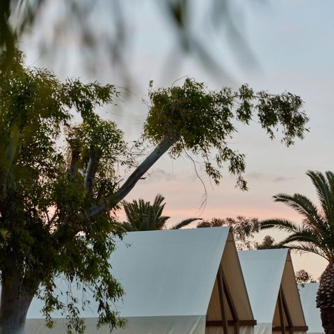 Canvas and wooden tent 2 persons - Glamping Cabin-Tent Senyoret