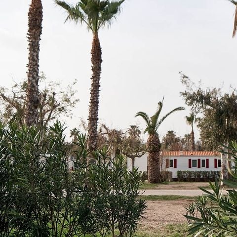 BUNGALOW 4 personnes - Confort Delta