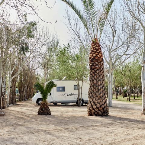 PARCELA - Ubicación Zona de prima media con electricidad