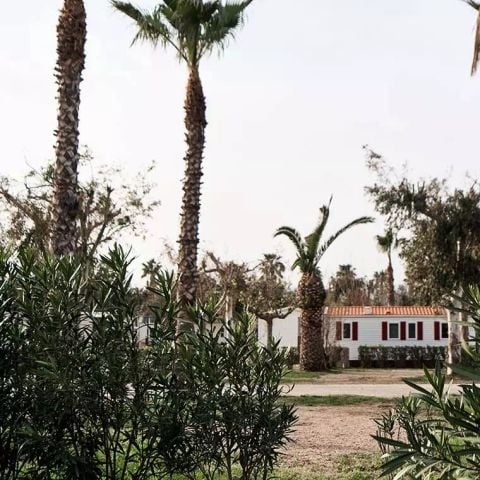 BUNGALOW 4 people - Bungalow 3 Rooms 4 People Air-conditioned