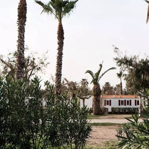 Bungalow 4 Personen - Bungalow 3 Zimmer 4 Personen Klimatisiert