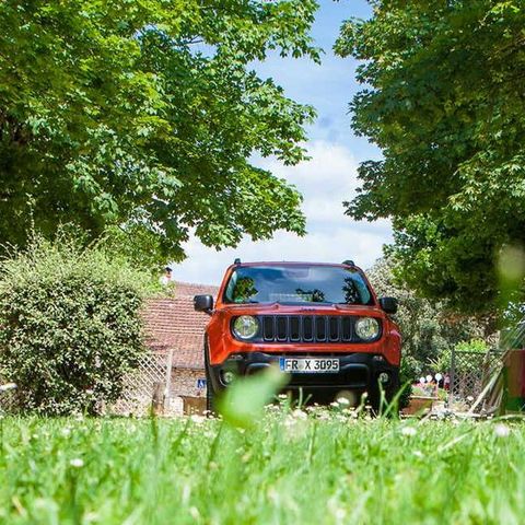 Stellplatz - PRIVILEGE GARDEN 120 m² + Überdachter Tisch/Bänke + Strom 10 A - 2 pers. 2/6 pers.