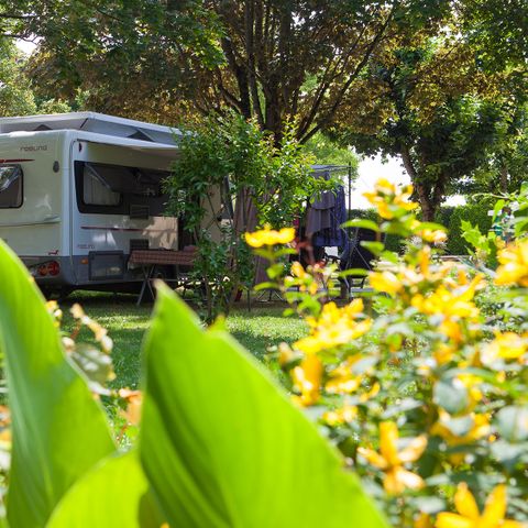 Pitch - CONFORT 100 m² + electricity 10 A 2 pers