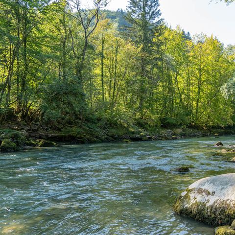 Camping Saint Disdille Camping Saint Disdille - Camping Haute-Savoie - Image N°34