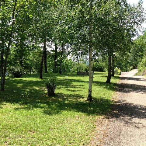 PLOT - PRIVILEGE PACKAGE (1 tent, caravan or motorhome / 1 car / 10A electricity)