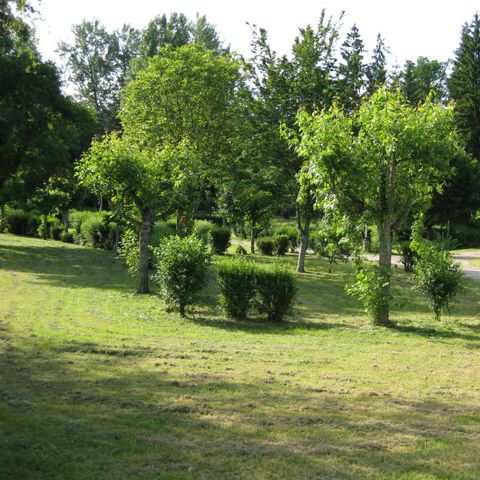 Stellplatz - Stellplatz Pauschale