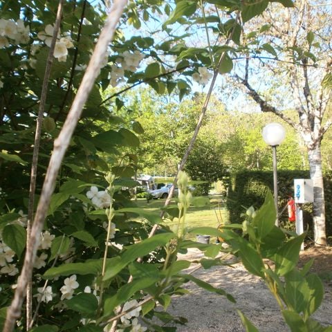 PIAZZOLA - Piazzola standard (con elettricità) -