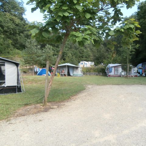 Stellplatz - Standort Wiese