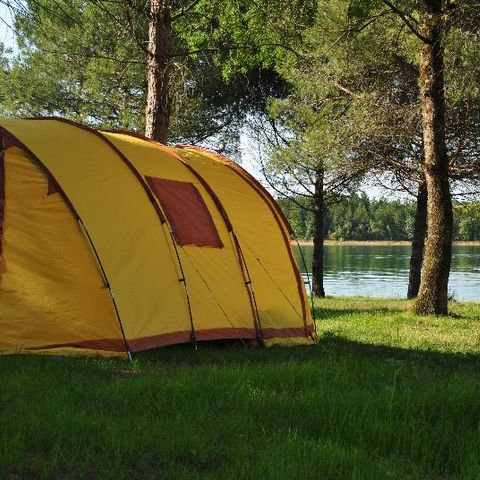 STAANPLAATS - Comfort (1 tent, caravan of camper / 1 auto)