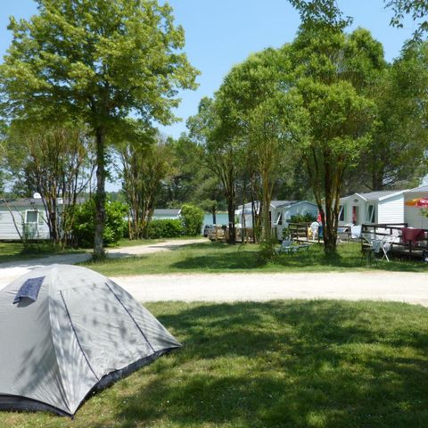 EMPLACEMENT - Confort  (1 tente, caravane ou camping car / 1 voiture)