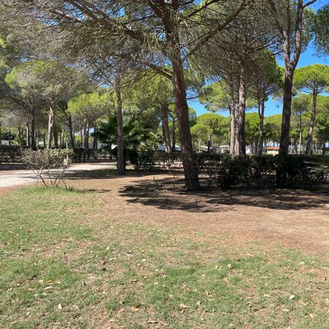 PIAZZOLA - Piazzola classica 2 pers