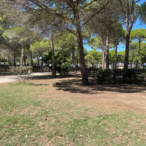 PIAZZOLA - Piazzola classica 2 pers