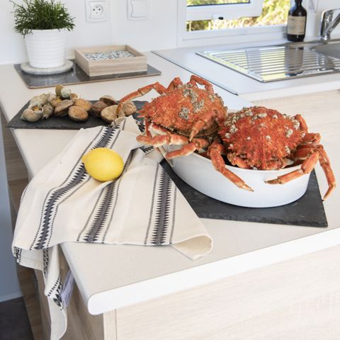 Stacaravan 4 personen - Castel Palace**** Zonder terras