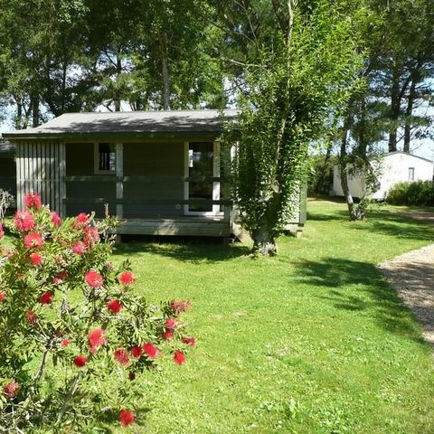 Chalet 5 persons - Chalet L 'ABEILLE 2 bedrooms 29m² 2002