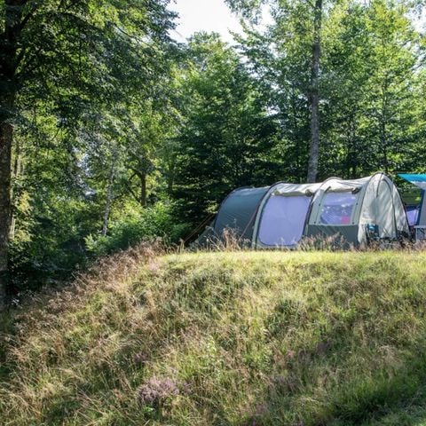 Pitch - Comfort package (1 tent, caravan or camper / 1 car / 10A electricity)