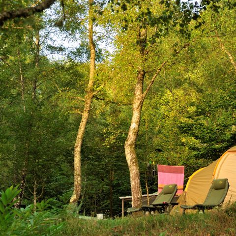 Pitch - Nature package (1 tent, caravan or camper van without electricity / 1 car) 2 pers.