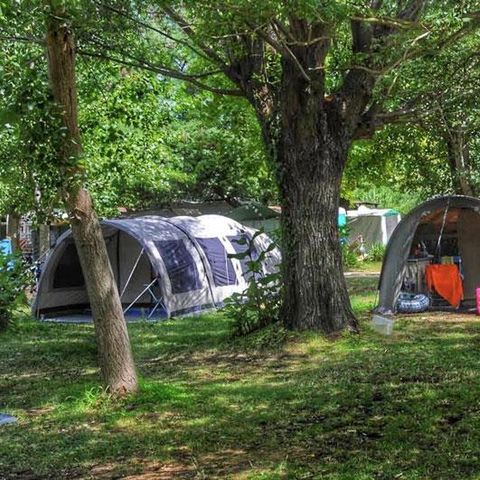 Kampeerplaats - Locatie Groen uitzicht A
