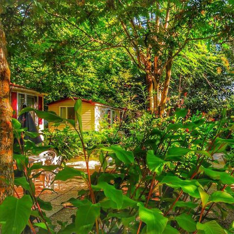 BUNGALOW 6 personnes - Mobil home Relax Pet 24mq