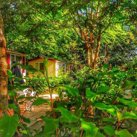 MOBILE HOME 6 people - Mobile home Relax Pet 24sqm