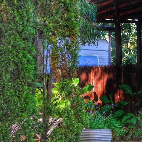 CARAVAN 4 people - Caravan patio - Pet Friendly