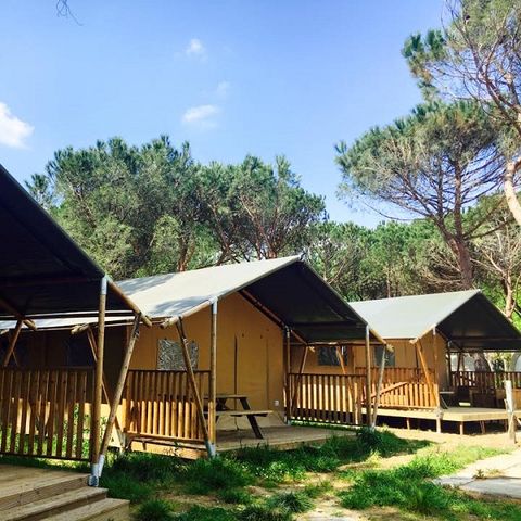 Tent 4 personen - Safari Lodge