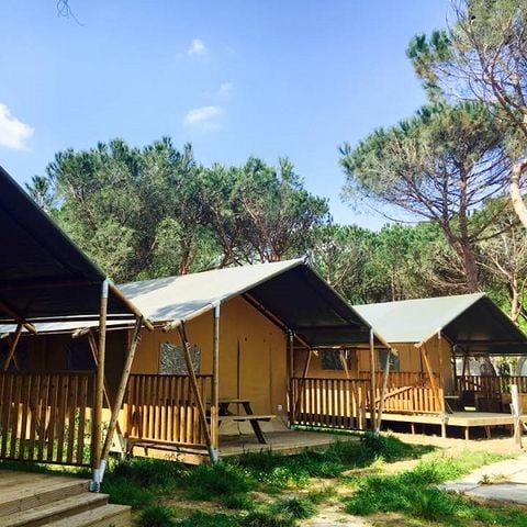 Tente 4 personnes - Safari Lodge