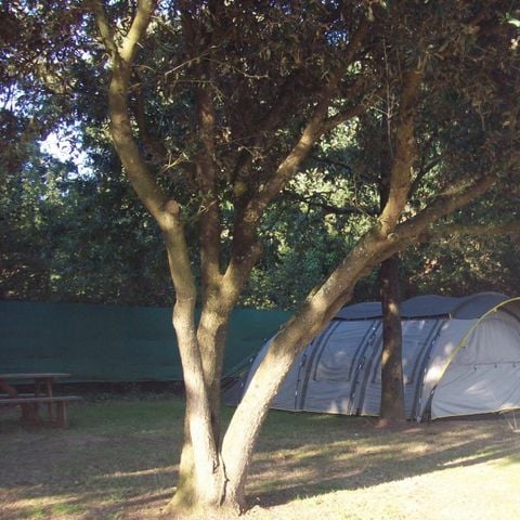 Pitch - Comfort pitch - 1 car - 6A electricity