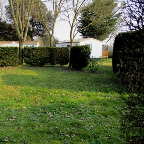 Stellplatz - Stellplatz Confort - 1 Auto - Strom 6A