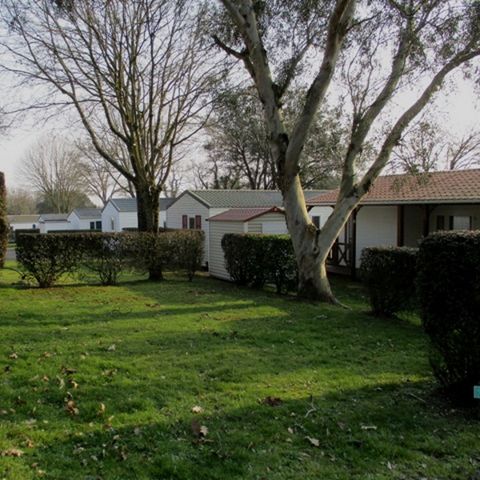 Kampeerplaats - Essentiële standplaats - 1 auto - geen elektriciteit