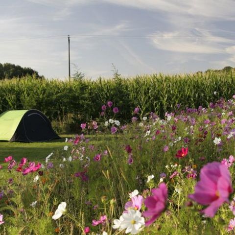 PIAZZOLA - Pacchetto comfort