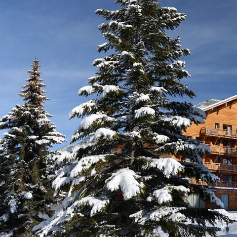 Résidence Odalys Référence Pra Sainte Marie - Camping Hautes-Alpes - Image N°4