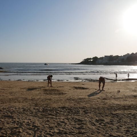 Flower Camping Le Nauzan Plage Flower Camping Le Nauzan Plage - Camping Charente-Maritime - Image N°29