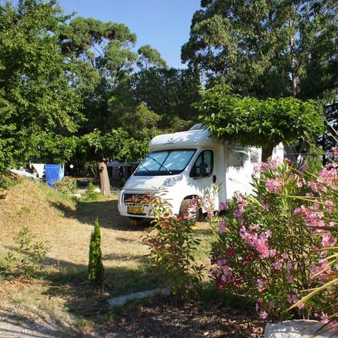 PARCELA - Paquete confort (1 tienda, caravana o autocaravana / 1 coche / electricidad 10A)