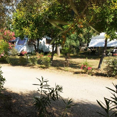 STAANPLAATS - Comfortpakket (1 tent, caravan of camper / 1 auto / 10A elektriciteit)