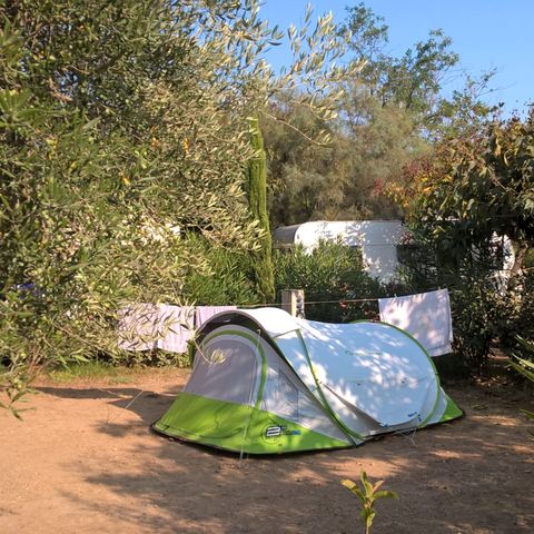 STAANPLAATS - Comfort pakket (1 tent, caravan of camper / 1 auto / 10A elektriciteit) 2/6 pers