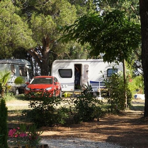 PARCELA - Paquete confort (1 tienda, caravana o autocaravana / 1 coche / electricidad 10A) 2/6 pers