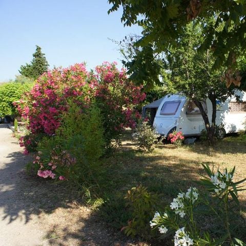 Stellplatz - Forfait Confort (1 Zelt, Wohnwagen oder Wohnmobil / 1 Auto / Strom 10A) 2/6 Pers.