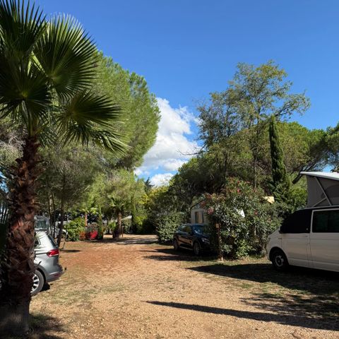 Pitch - Privilege package (1 tent, caravan or camper / 1 car / 10A electricity)