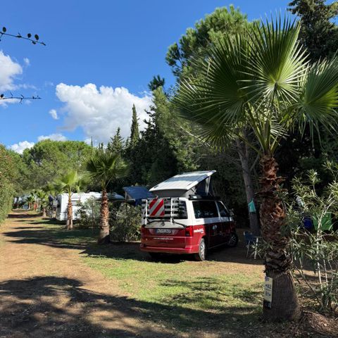 STAANPLAATS - Privilege pakket (1 tent, caravan of camper / 1 auto / 10A elektriciteit)