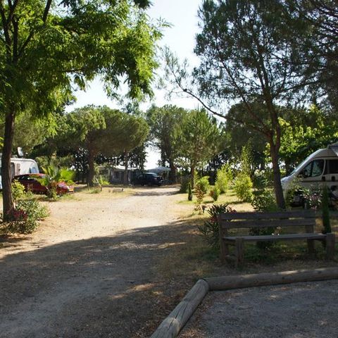 Stellplatz - Forfait Privilège (1 Zelt, Wohnwagen oder Wohnmobil / 1 Auto / Strom 10A)