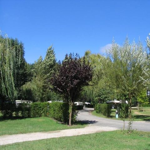 Kampeerplaats - Natuurlijke standplaats: voertuig + tent of caravan of camper