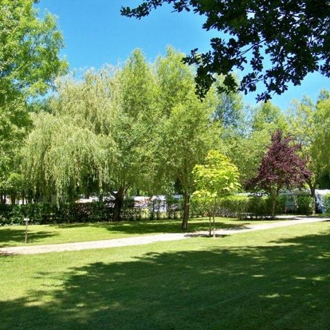 PIAZZOLA - Piazzola Premium: veicolo + tenda/caravan + elettricità + frigorifero