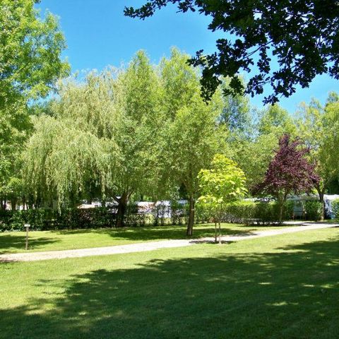 PLOT - Premium pitch: vehicle + tent/caravan + electricity + fridge