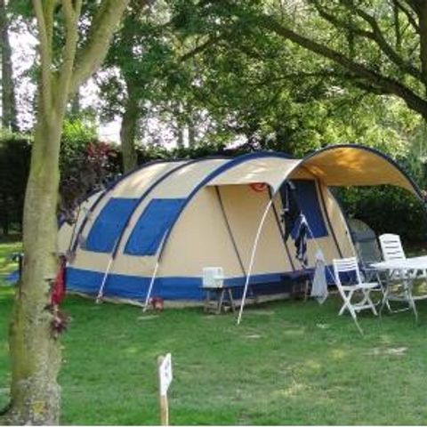 Stellplatz - Premium-Stellplatz: Fahrzeug + Zelt/Wohnwagen + Strom + Kühlschrank