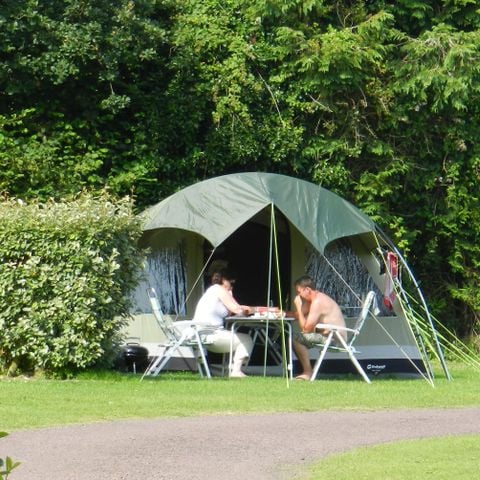 Kampeerplaats - Premium staanplaats: voertuig + tent/caravan + elektriciteit + koelkast