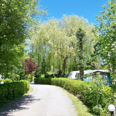 Camping Les Peupliers Camping Les Peupliers - Camping Gironde - Image N°11