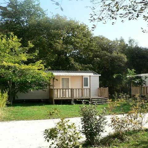 MOBILHOME 6 personnes - Confort+ 3 Pièces 4/6 Personnes